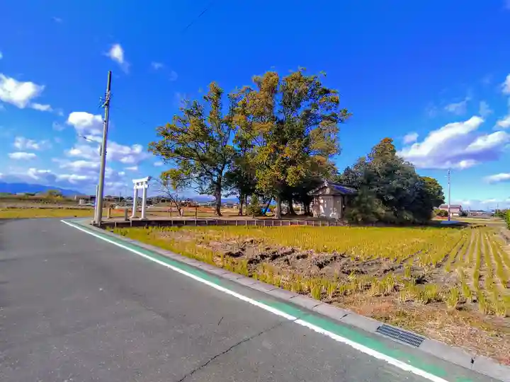 白髭大明神社(上祖父江)の自然