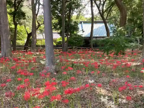 祖光院(千葉県)