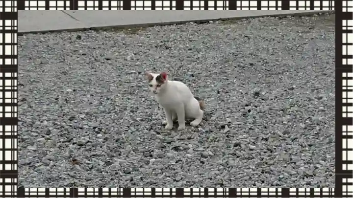 寺岡山元三大師(栃木県)