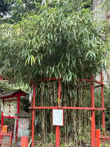 日光二荒山神社(栃木県)