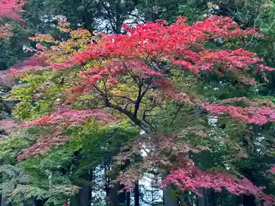 北口本宮冨士浅間神社(山梨県)