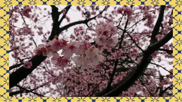 九重神社(埼玉県)