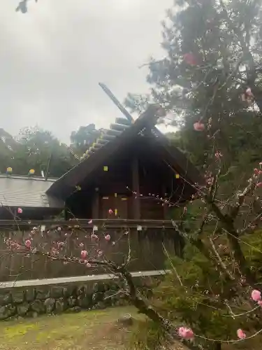 伊曽乃神社の{uncategorized: "未分類", other: "その他", undefined: "問題あり", building: "その他建物", grave: "お墓", sacred_gate: "鳥居", guardian: "狛犬", statue: "像", buddha: "仏像", history: "歴史", nature: "自然", garden: "庭園", animal: "動物", pagoda: "塔", temizu: "手水舎", mountain_gate: "山門・神門", sanctuary: "本殿・本堂", subordinate: "末社・摂社", art: "芸術", scenery: "景色", jizo: "地蔵", ema: "絵馬", goshuin: "御朱印", omikuji: "おみくじ", items: "授与品その他", amulet: "お守り", goshuincho: "御朱印帳", eats: "食事", festival: "お祭り", votive_dance: "神楽", shichigosan: "七五三参", wedding: "結婚式", experience: "体験その他", initially: "初詣", around: "周辺", anti_infection: "感染症対策"}