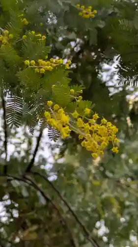 半木神社（賀茂別雷神社境外末社）(京都府)