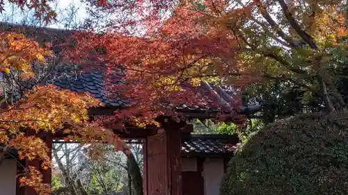 常照寺(京都府)