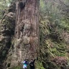 英彦山神宮の自然