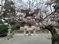 知恩院(京都府)