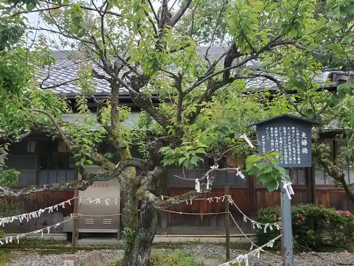 滋賀県護国神社の自然
