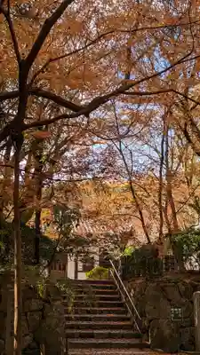 龍安寺(京都府)