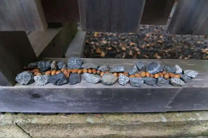 阿久津「田村神社」(郡山市阿久津町)旧社名:伊豆箱根三嶋三社の自然