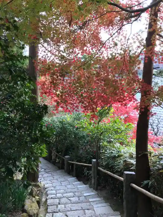 杉本寺の周辺