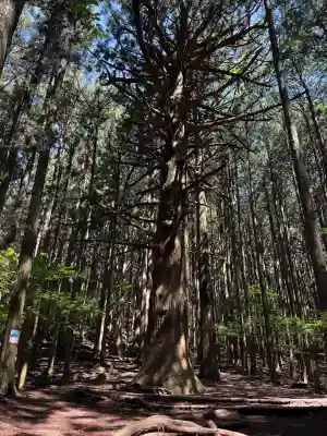 武甲山御嶽神社(埼玉県)