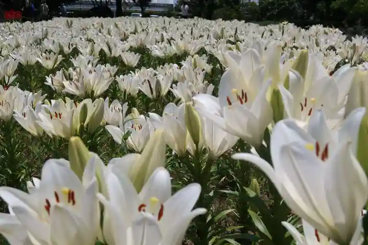 五智如来堂(福井県)