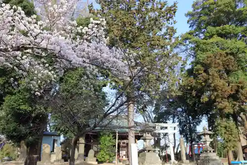 熊野福藏神社の自然