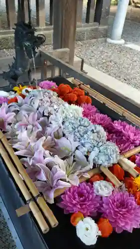 江南神社の手水