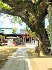 新北神社の建物その他