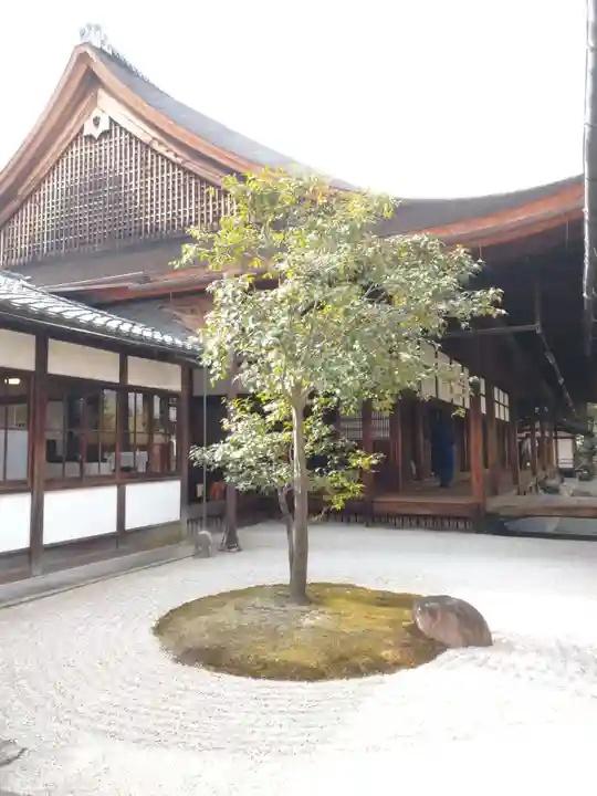 建仁寺(建仁禅寺)の庭園