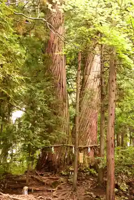 戸隠神社火之御子社(長野県)