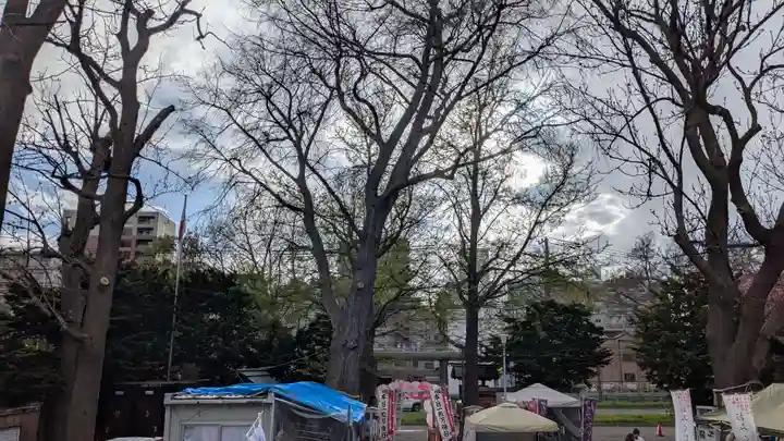 札幌諏訪神社の景色