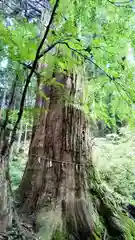 花園神社(茨城県)