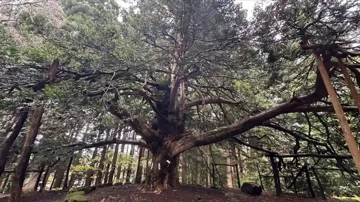 真山神社(秋田県)