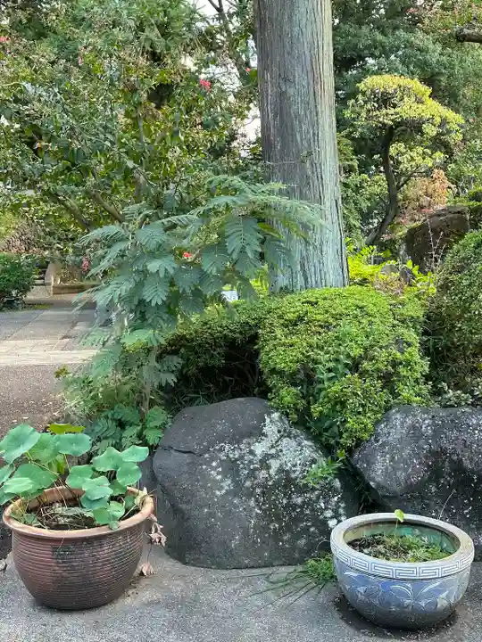 大福寺(東京都)