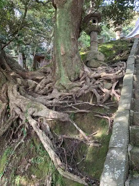 平潟八幡神社(茨城県)