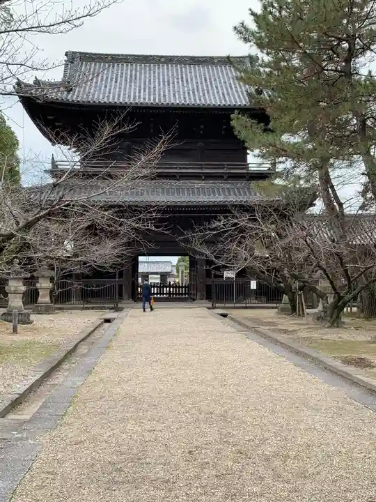 大樹寺(松安院大樹寺)の山門・神門