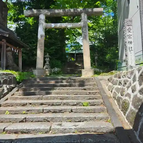 愛宕神社の{uncategorized: "未分類", other: "その他", undefined: "問題あり", building: "その他建物", grave: "お墓", sacred_gate: "鳥居", guardian: "狛犬", statue: "像", buddha: "仏像", history: "歴史", nature: "自然", garden: "庭園", animal: "動物", pagoda: "塔", temizu: "手水舎", mountain_gate: "山門・神門", sanctuary: "本殿・本堂", subordinate: "末社・摂社", art: "芸術", scenery: "景色", jizo: "地蔵", ema: "絵馬", goshuin: "御朱印", omikuji: "おみくじ", items: "授与品その他", amulet: "お守り", goshuincho: "御朱印帳", eats: "食事", festival: "お祭り", votive_dance: "神楽", shichigosan: "七五三参", wedding: "結婚式", experience: "体験その他", initially: "初詣", around: "周辺", anti_infection: "感染症対策"}
