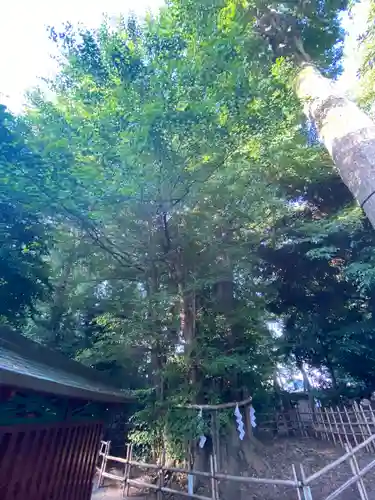 大國魂神社(東京都)