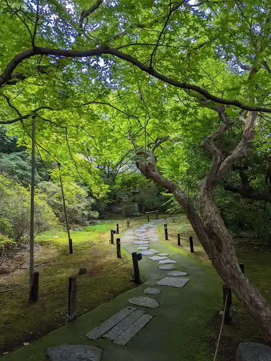 青蓮院門跡(京都府)