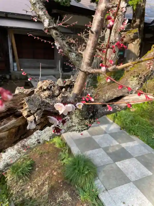 国上寺(新潟県)