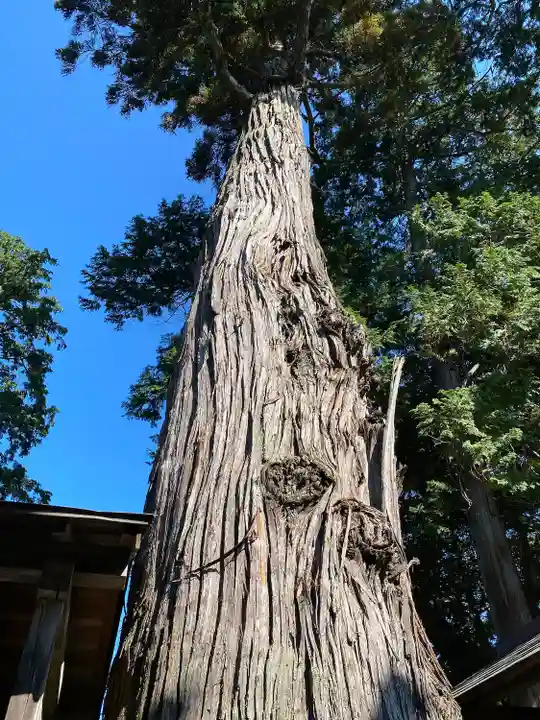 豊受大神社(京都府)