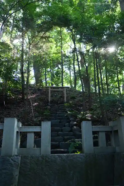 寒川神社(神奈川県)