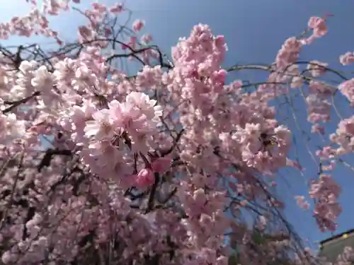 浄得寺(福井県)