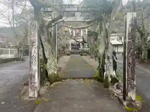 天鷹神社(岐阜県)(2025年12月21日(日) 19時19分04秒投稿)