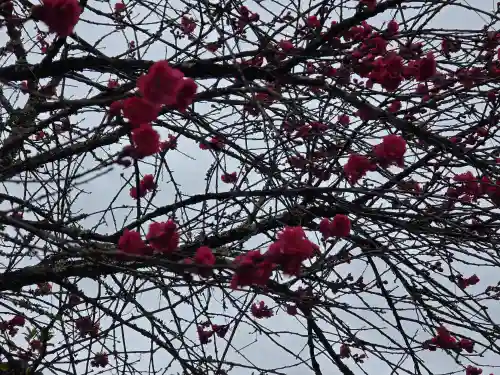 丹生都比売神社(和歌山県)