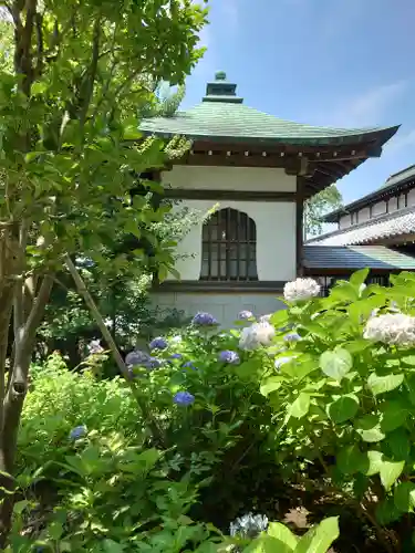 時宗総本山 遊行寺（正式：清浄光寺）(神奈川県)