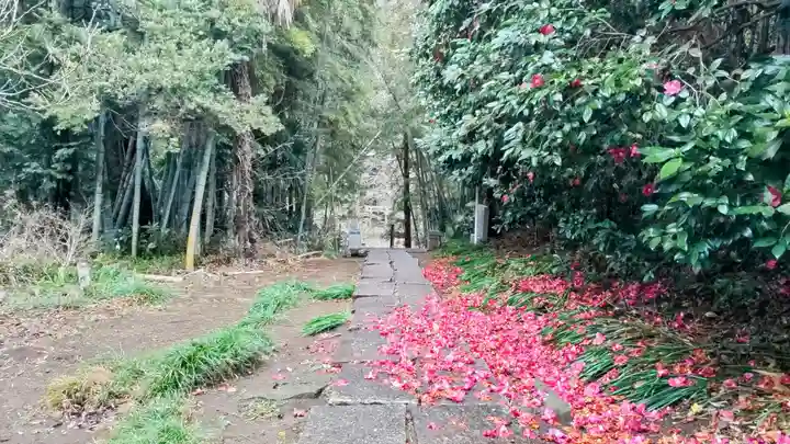 葦不合神社(千葉県)