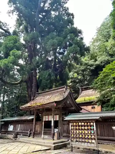 若狭姫神社（若狭彦神社下社）(福井県)