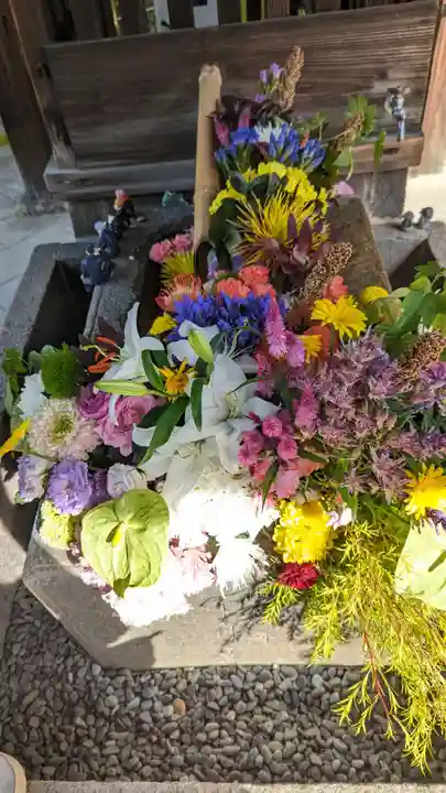 勝林寺(京都府)