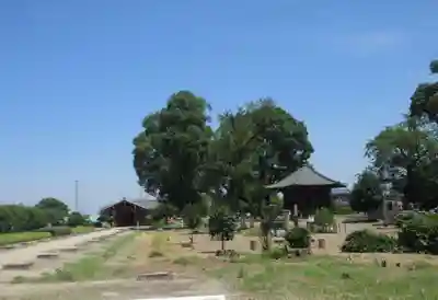 下野薬師寺 (旧 安國寺)(栃木県)