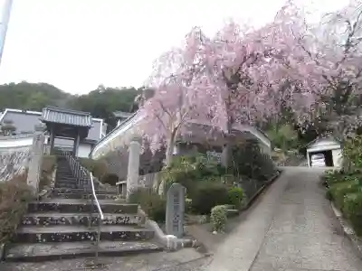 長松寺(京都府)