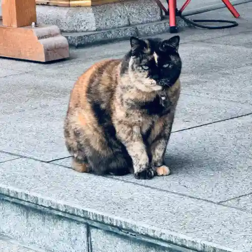 榮稲荷神社(福井県)