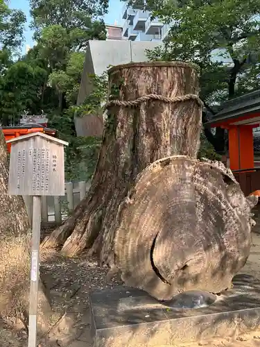 生田神社(兵庫県)
