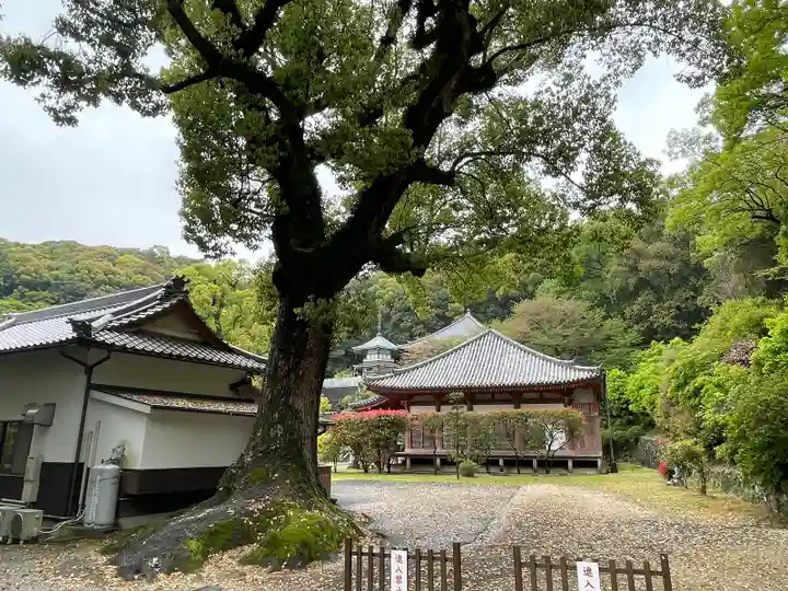観音寺(香川県)