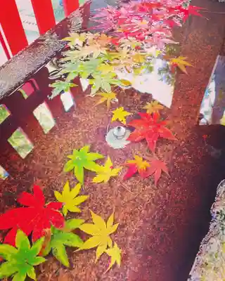 白山神社の手水舎