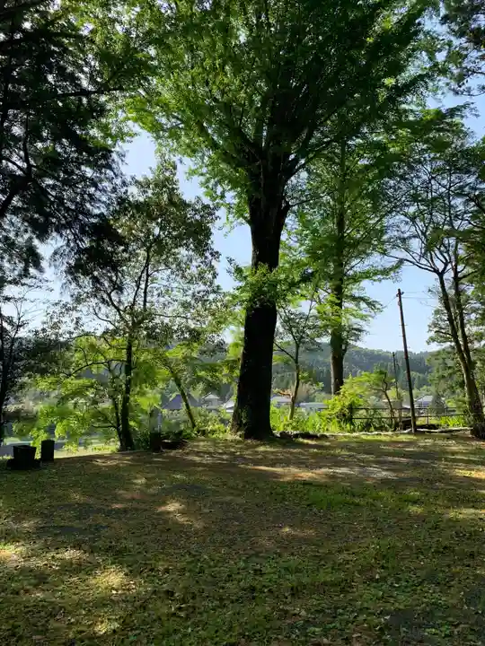天照神社の自然