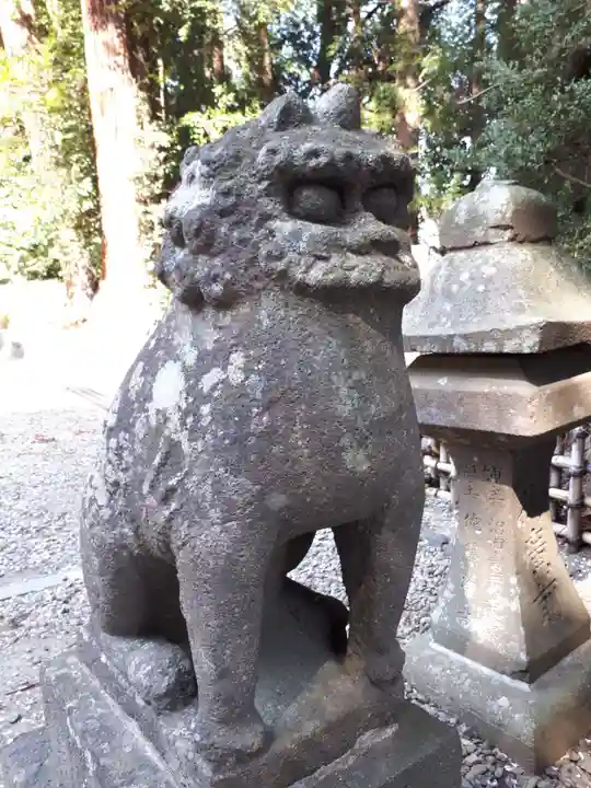 大崎八幡宮の狛犬