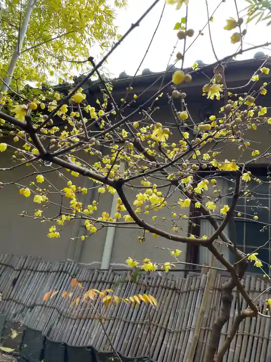 遠照山 光明寺(尼崎大仏)(兵庫県)